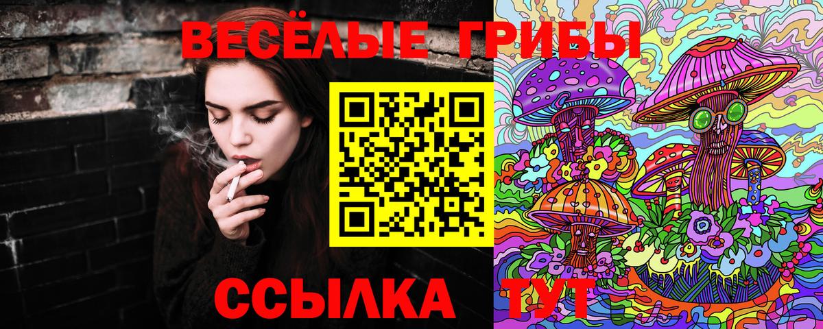 Псилоцибиновые грибы Psilocybine cubensis Луховицы